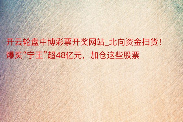 开云轮盘中博彩票开奖网站_北向资金扫货！爆买“宁王”超48亿元，加仓这些股票
