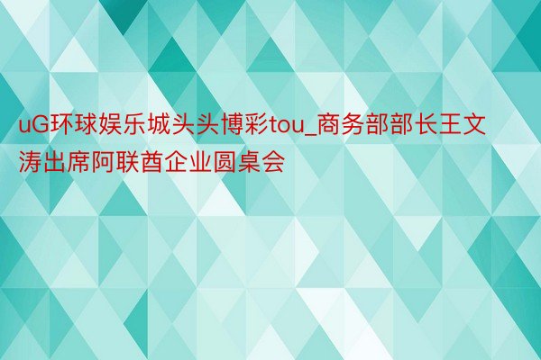 uG环球娱乐城头头博彩tou_商务部部长王文涛出席阿联酋企业圆桌会